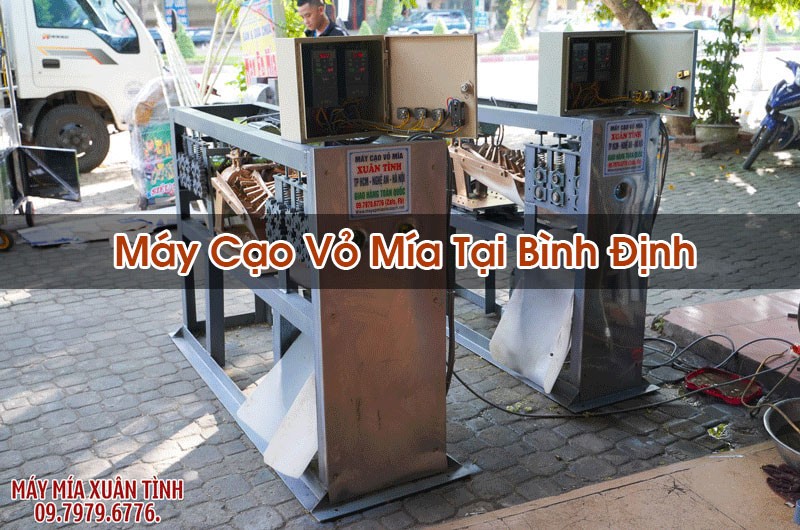 May Cao Vo Mia Tai Binh Dinh 1