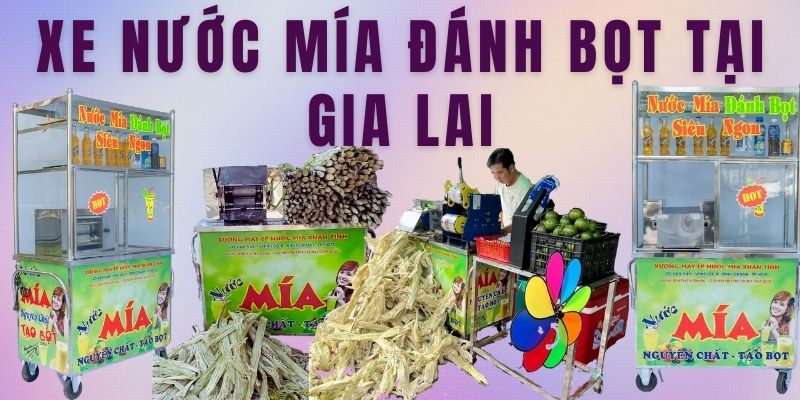Xe Nước Mía Đánh Bọt Tại Gia Lai
