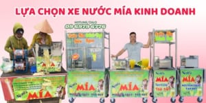 Lựa Chọn Xe Nước Mía