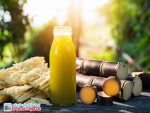 Mở xe nước mía có cần giấy phép không? Giải đáp từ chuyên gia