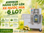 Khi nào nên nâng cấp lên xe nước mía 6 lô?