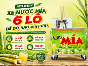 Nên Chọn Xe Nước Mía 6 Lô Để Đỡ Hao Mía Hơn?