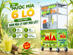 Xe Nước Mía 6 Lô Phù Hợp Bán Mía Ly Hay Mía Lít?