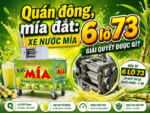Quán đông, mía đắt: Xe nước mía 6 lô 73 giải quyết được gì?