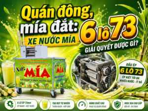 Quán đông, mía đắt: Xe nước mía 6 lô 73 giải quyết được gì?