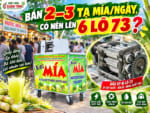 Bán 2–3 Tạ Mía 1 Ngày Có Nên Lên 6 Lô 73?