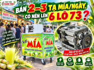 Bán 2–3 Tạ Mía 1 Ngày Có Nên Lên 6 Lô 73?