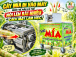 Cây Mía Đi Vào Máy Như Thế Nào? Cách Nhìn Máy Ép Có Ổn Không