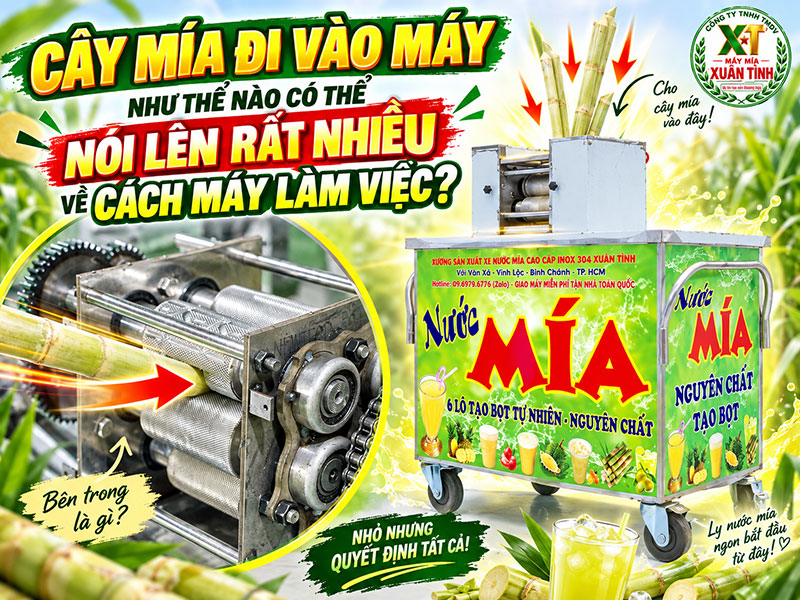Cây Mía Đi Vào Máy Như Thế Nào? Cách Nhìn Máy Ép Có Ổn Không Cây Mía Đi Vào Máy Như Thế Nào? Cách Nhìn Máy Ép Có Ổn Không