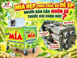 Mía Đẹp Chưa Chắc Đã Dễ Ép - Chọn Xe Nước Mía Cần Nhìn Gì?