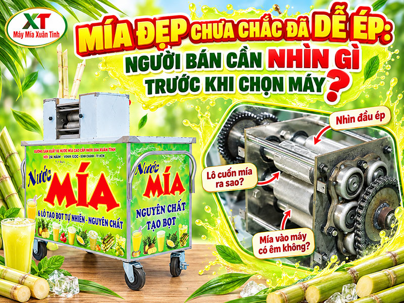 Mía Đẹp Chưa Chắc Đã Dễ Ép - Chọn Xe Nước Mía Cần Nhìn Gì?