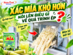 Xác Mía Khô Hơn Nói Lên Điều Gì Về Quá Trình Ép?