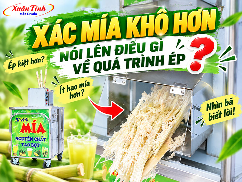 Xác Mía Khô Hơn Nói Lên Điều Gì Về Quá Trình Ép?