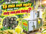 Bán hàng tạ mía một ngày đừng mua máy mía phổ thông