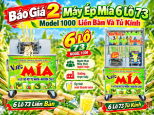 Báo Giá 2 Xe Nước Mía 6 Lô 73 Model 1000 Liền Bàn Và Tủ Kính XT